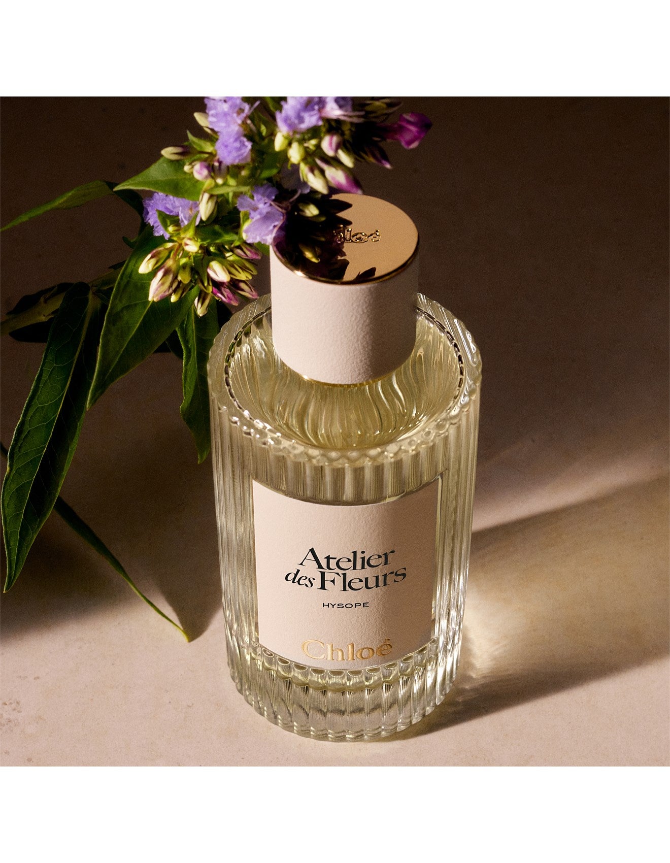 ATELIER DES FLEURS HYSOPE 50ML