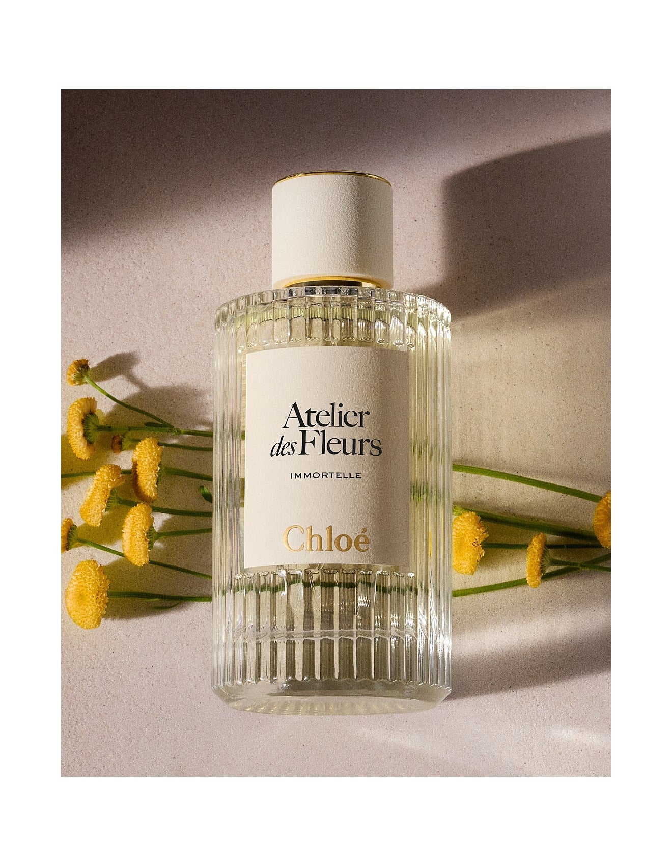ATELIER DES FLEURS IMMORTELLE 50ML