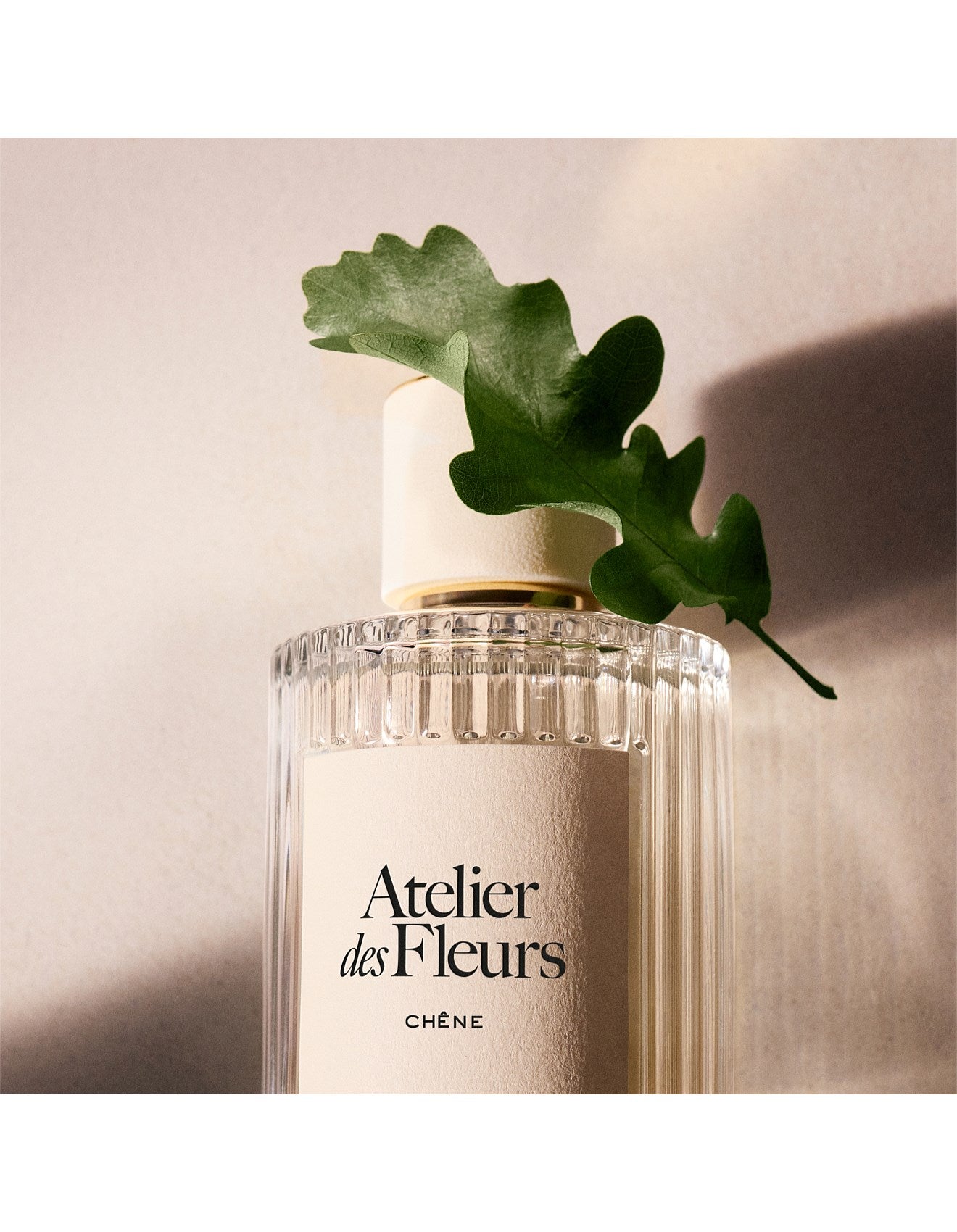 ATELIER DES FLEURS CHENE 50ML