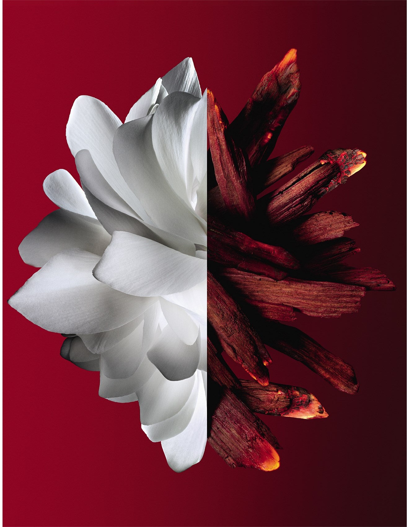 L'INTERDIT EAU DE PARFUM ROUGE ULTIME 50ML