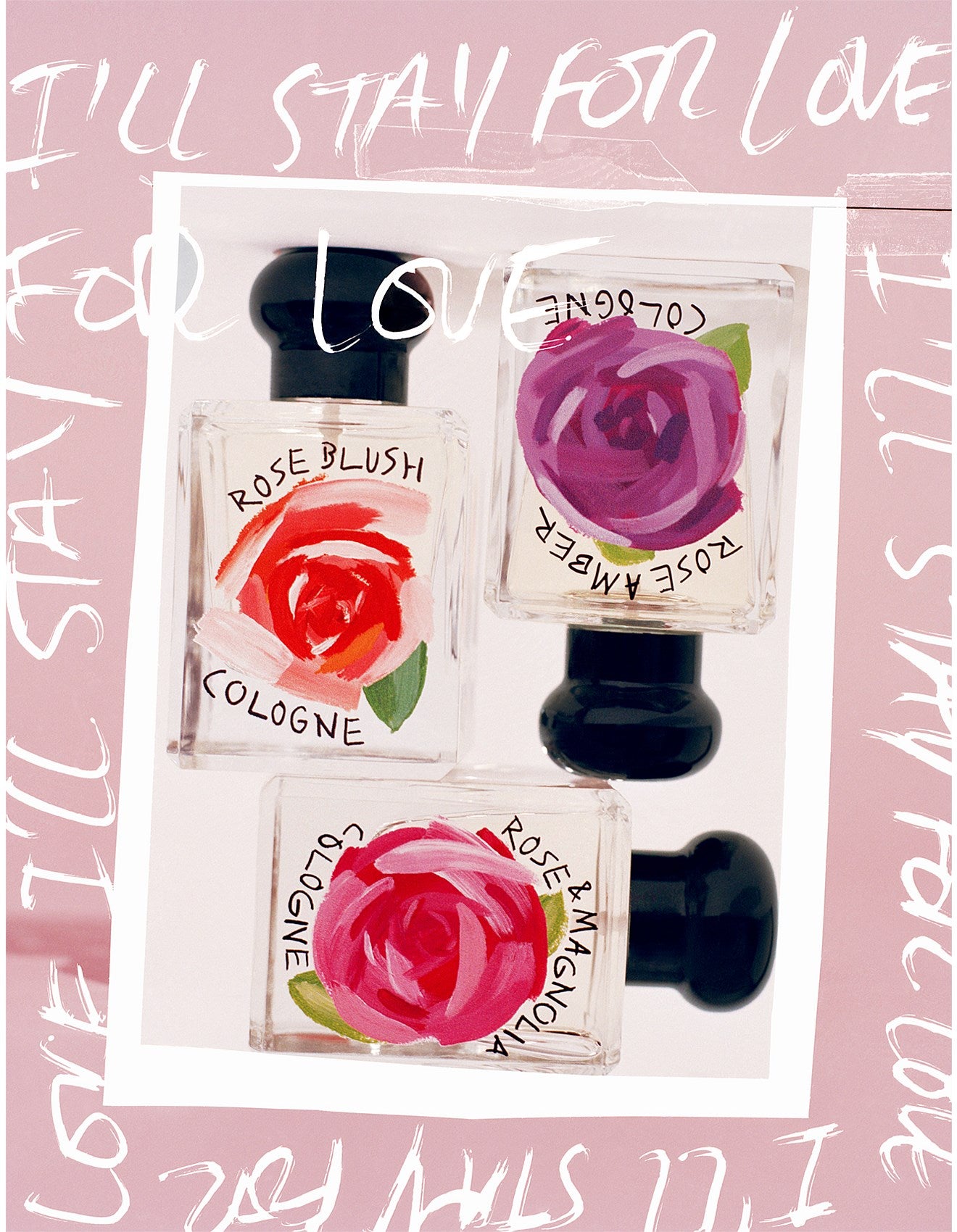 ROSE AMBER COLOGNE