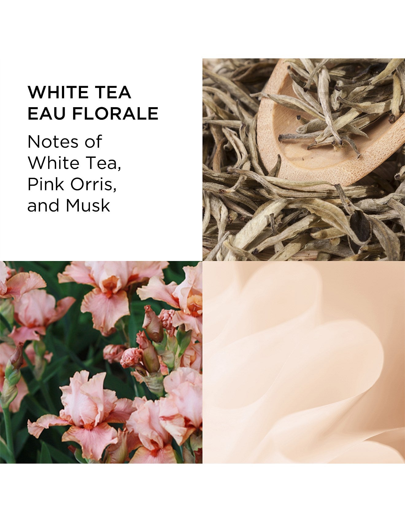 WHITE TEA EAU FLORALE EAU DE TOILETTE 100ML