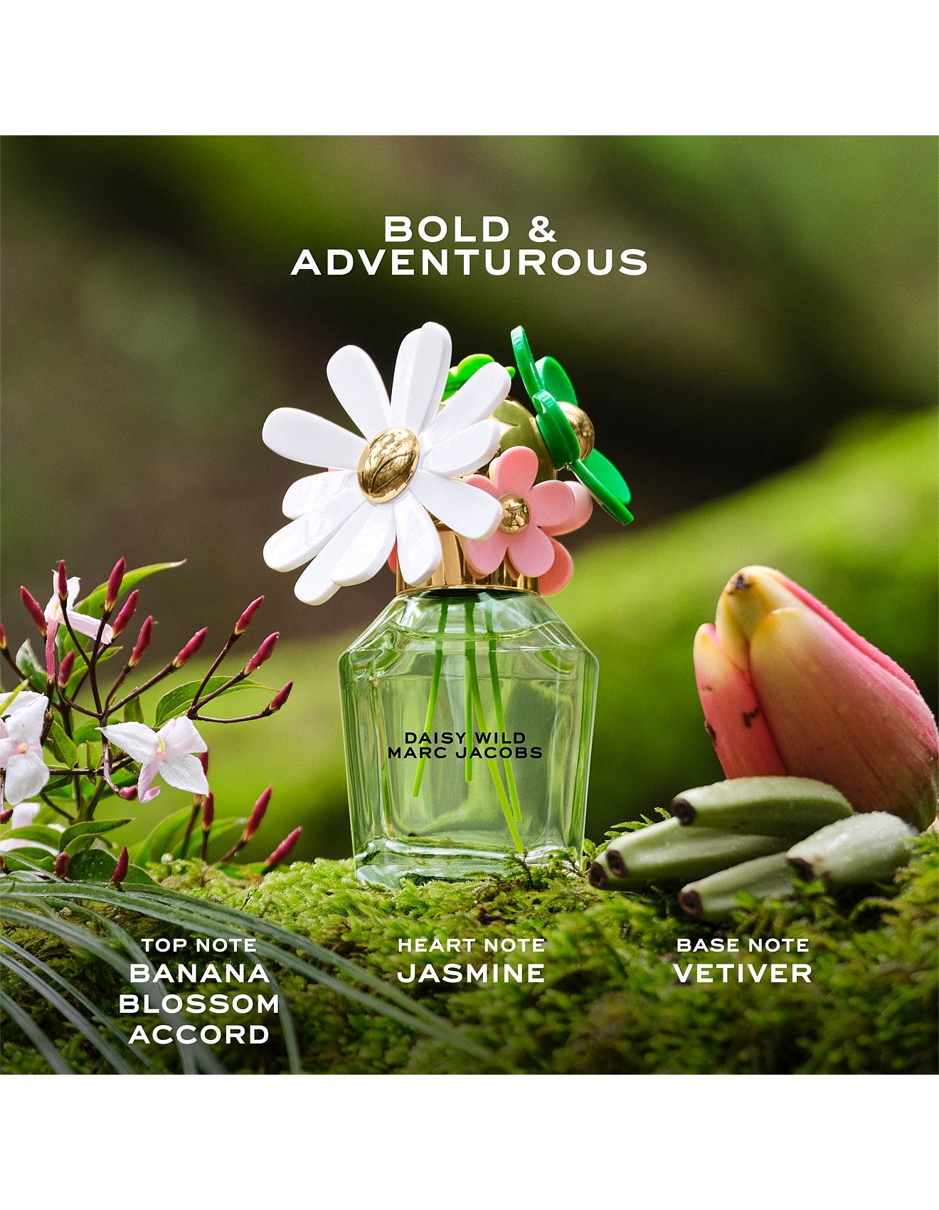 DAISY WILD EAU DE PARFUM 30ML