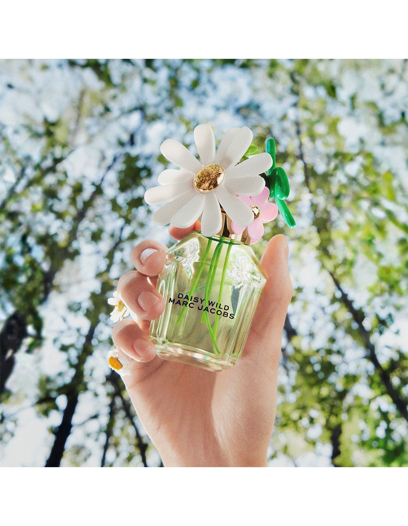 DAISY WILD EAU DE PARFUM 30ML