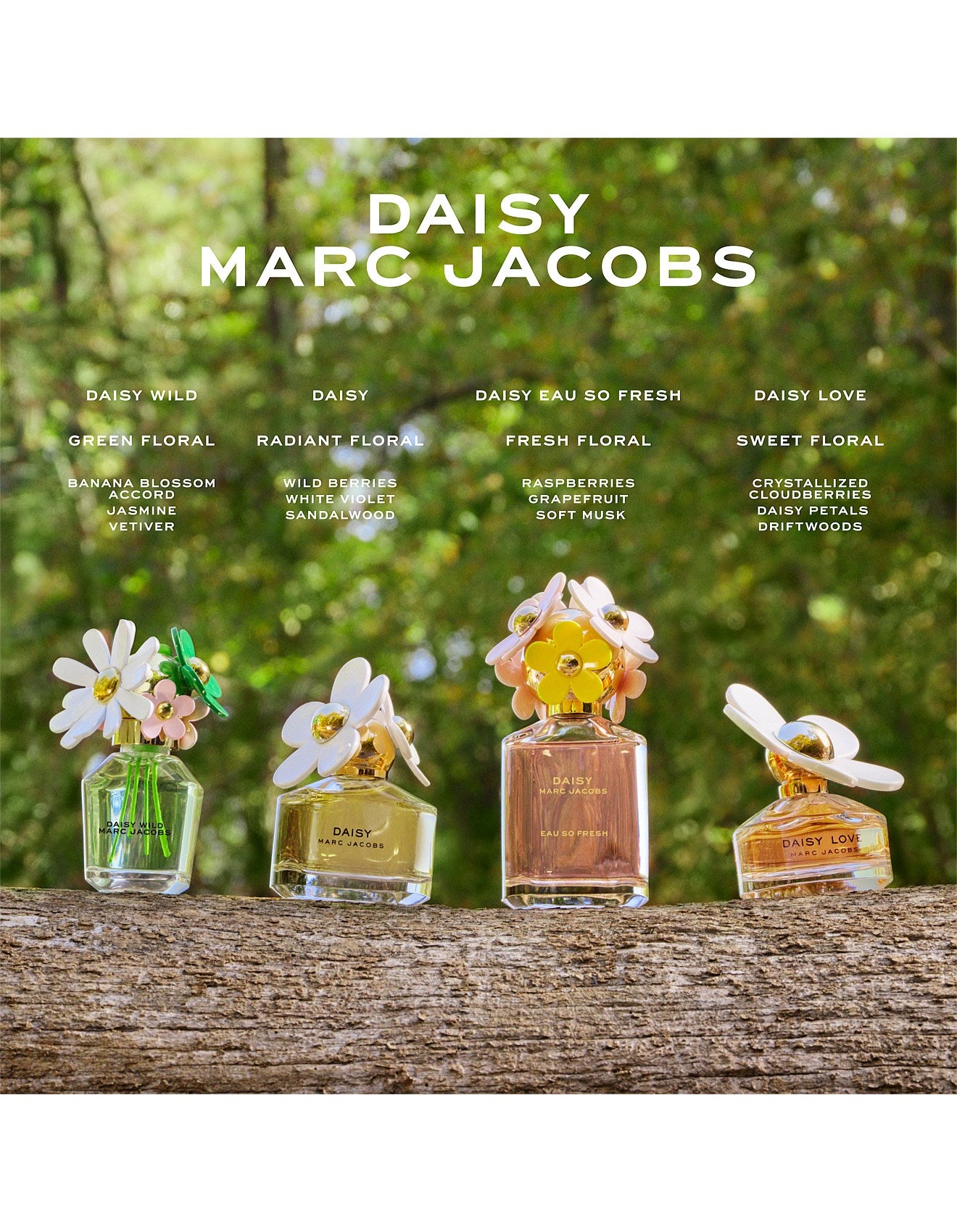 DAISY WILD EAU DE PARFUM 30ML