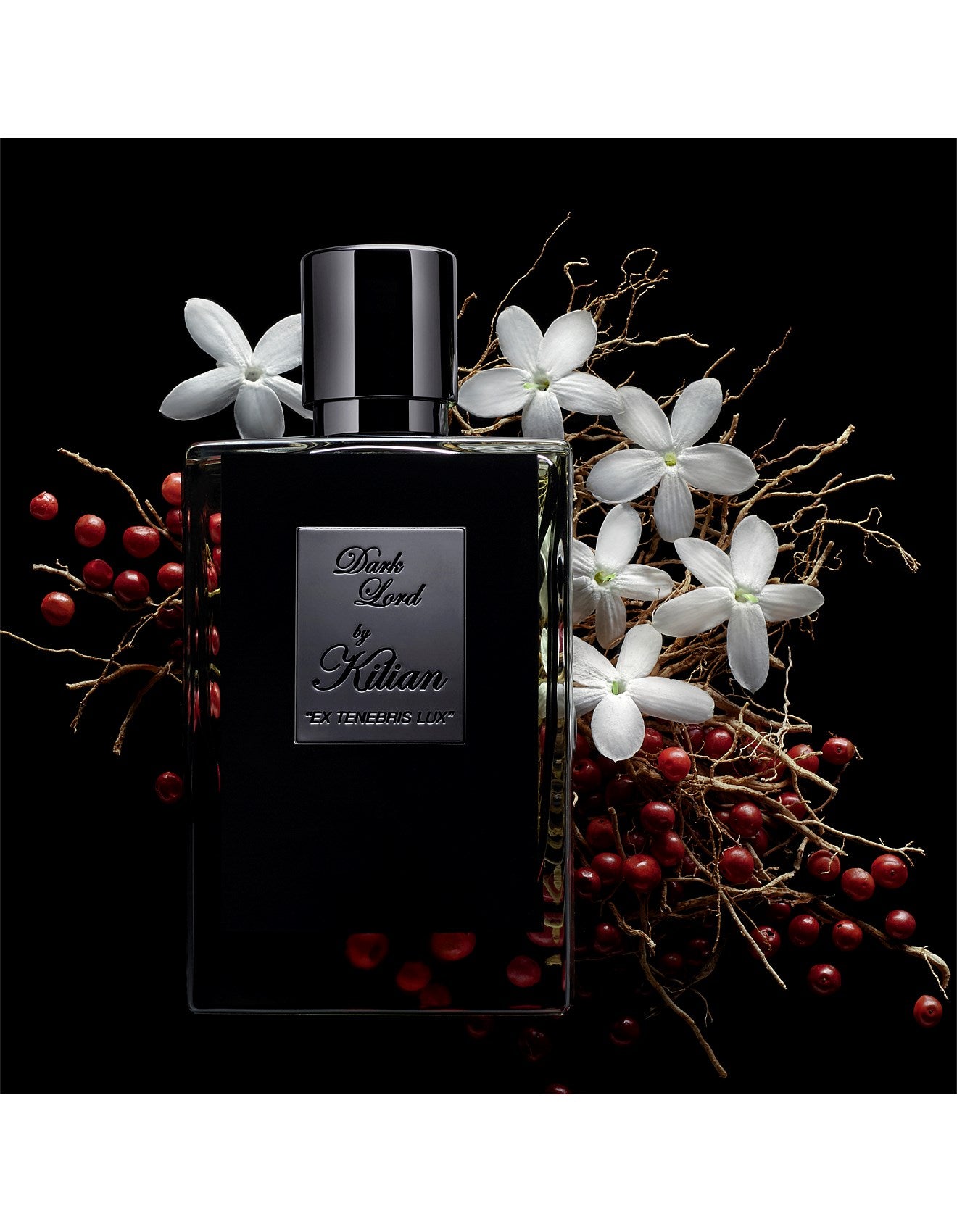 DARK LORD 100ML REFILL