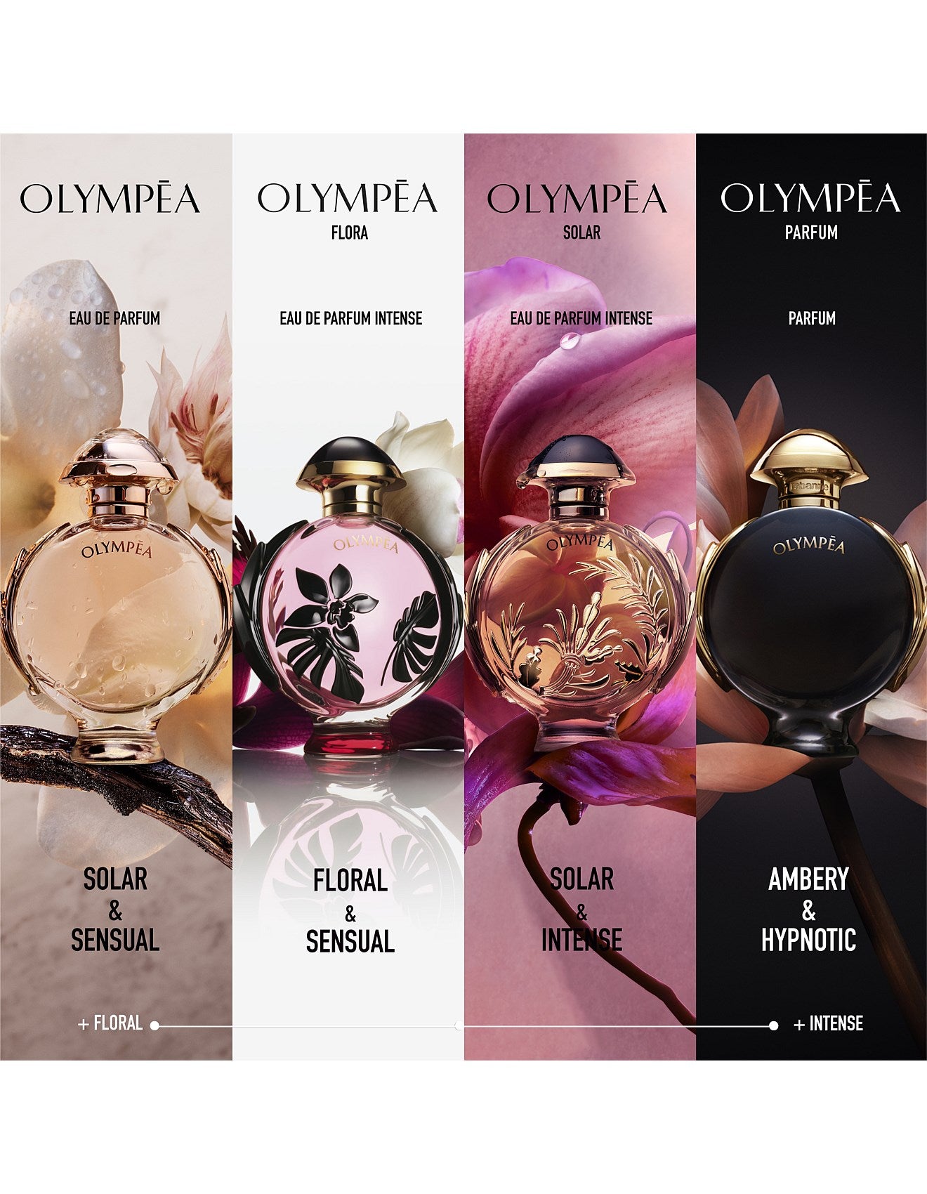 OLYMPEA PARFUM 50ML