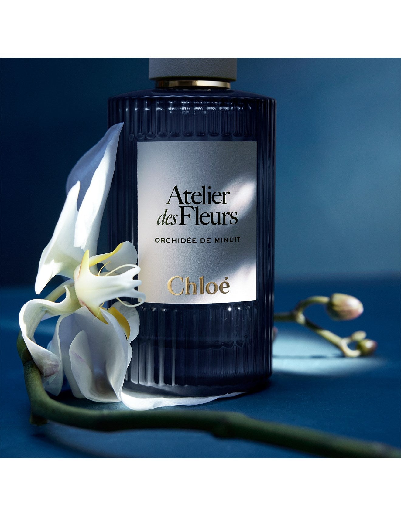CHLOÉ ATELIER DES FLEURS ORCHIDÉE DE MINUIT EAU DE PARFUM