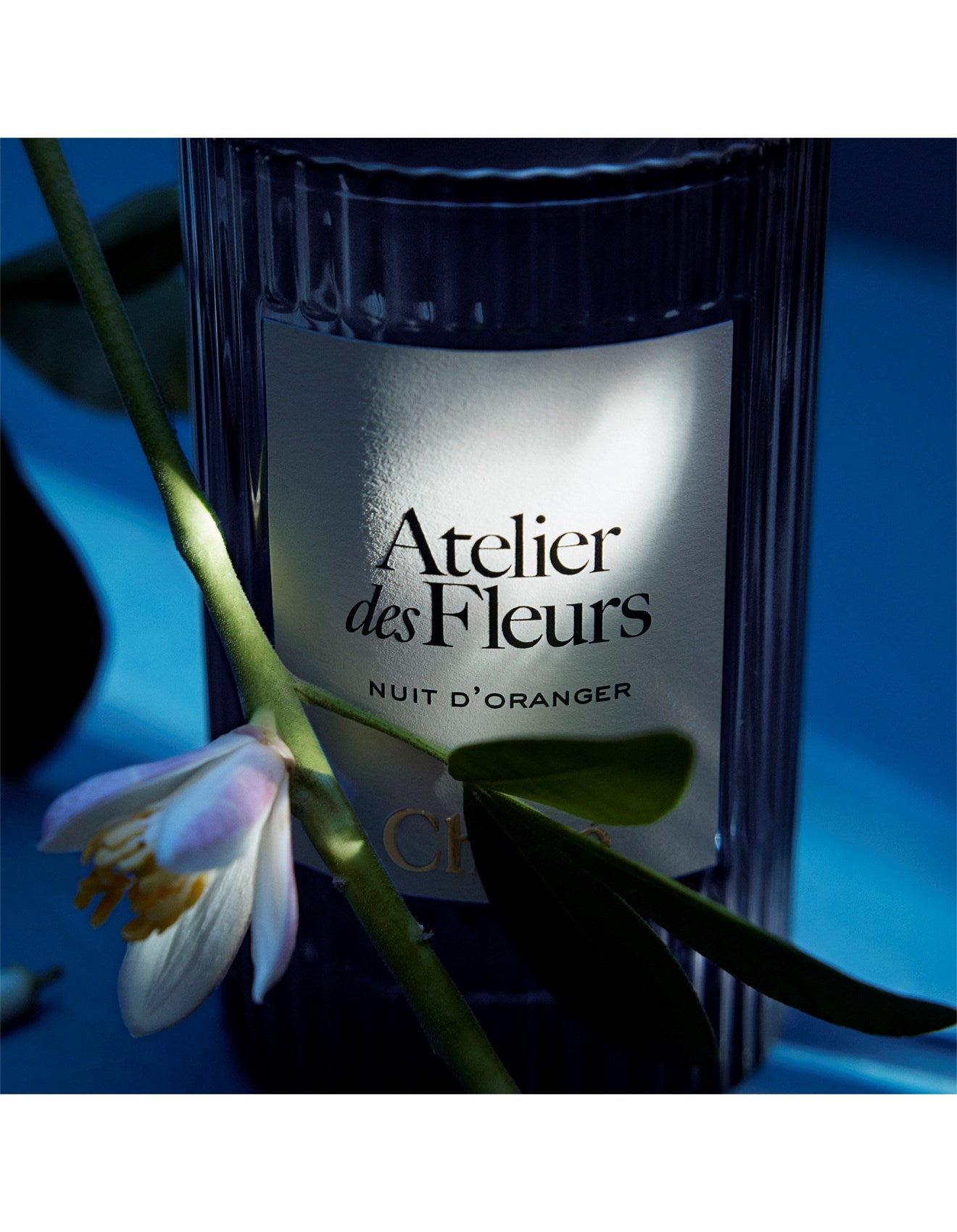 CHLOÉ ATELIER DES FLEURS LES FLEURS DE NUIT NUIT D¿ORANGER EDP 150ML