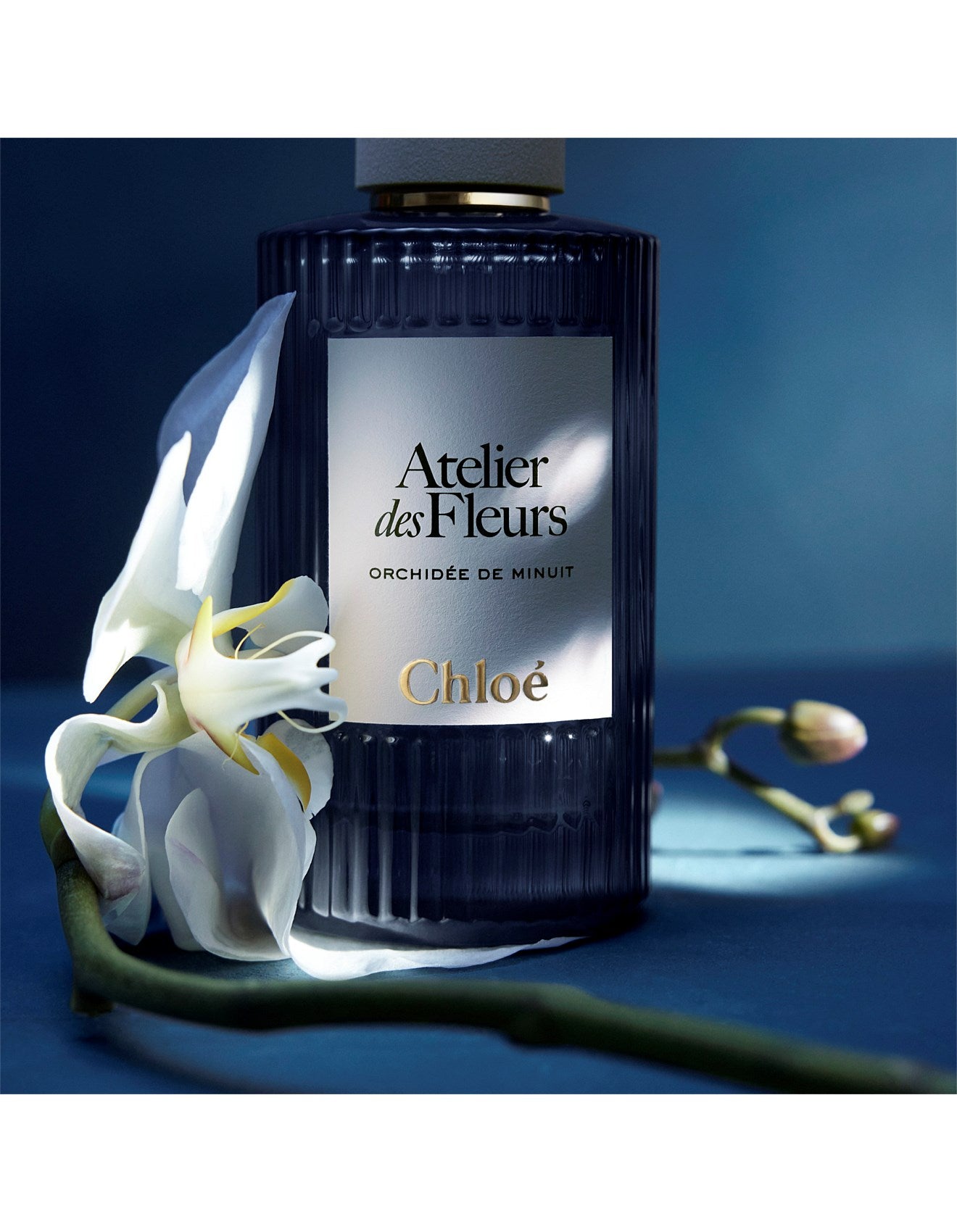 CHLOÉ ATELIER DES FLEURS LES FLEURS DE NUIT ORCHIDÉE DE MINUIT EDP 150ML