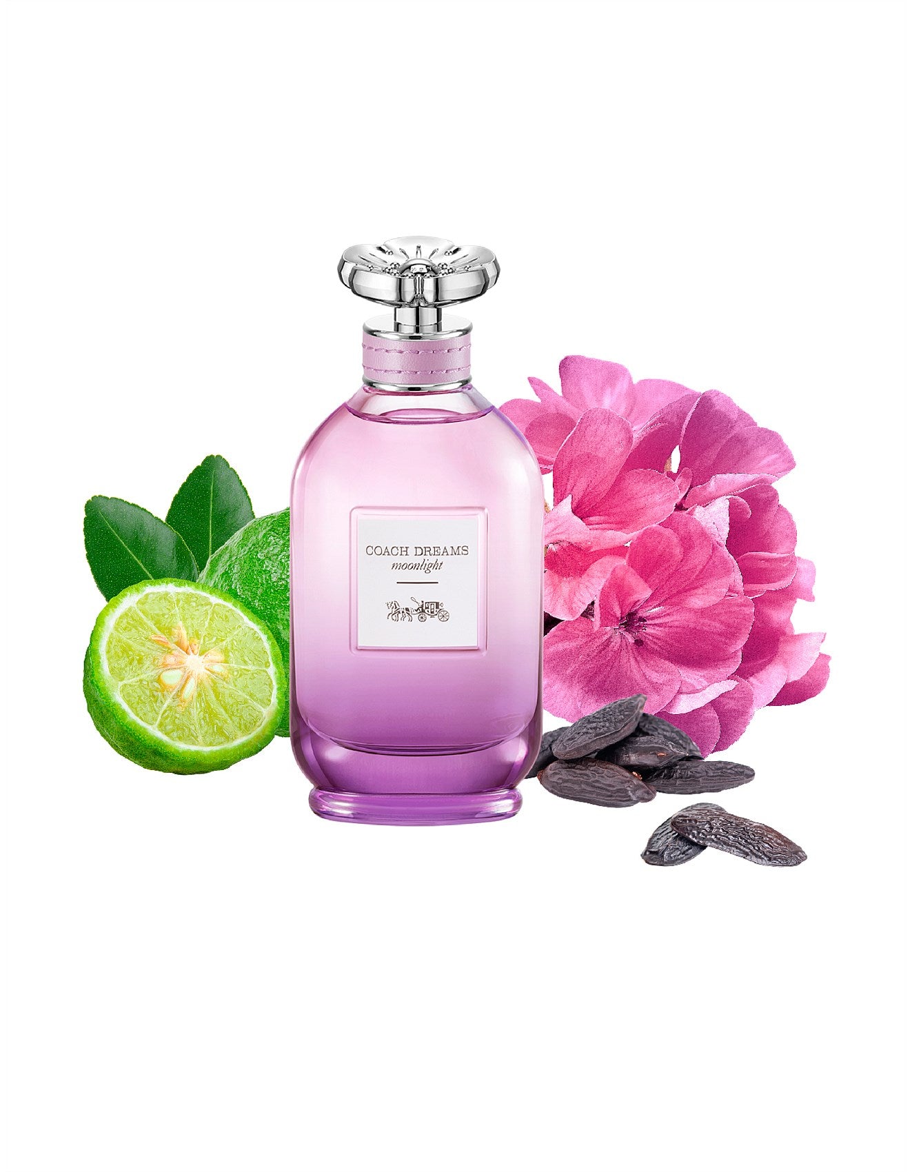 COACH DREAMS MOONLIGHT EDP 60ML