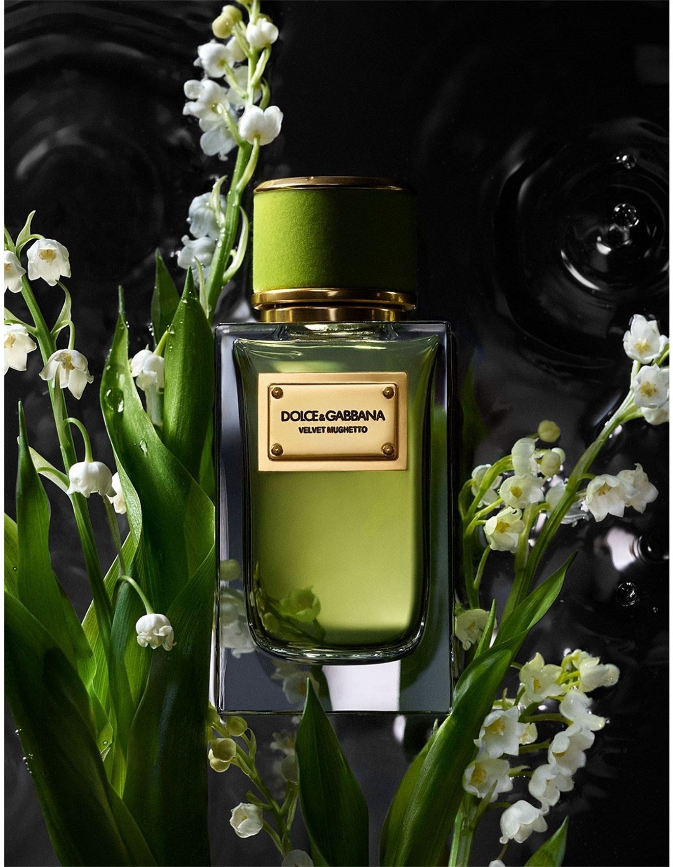VELVET MUGHETTO EDP 100ML