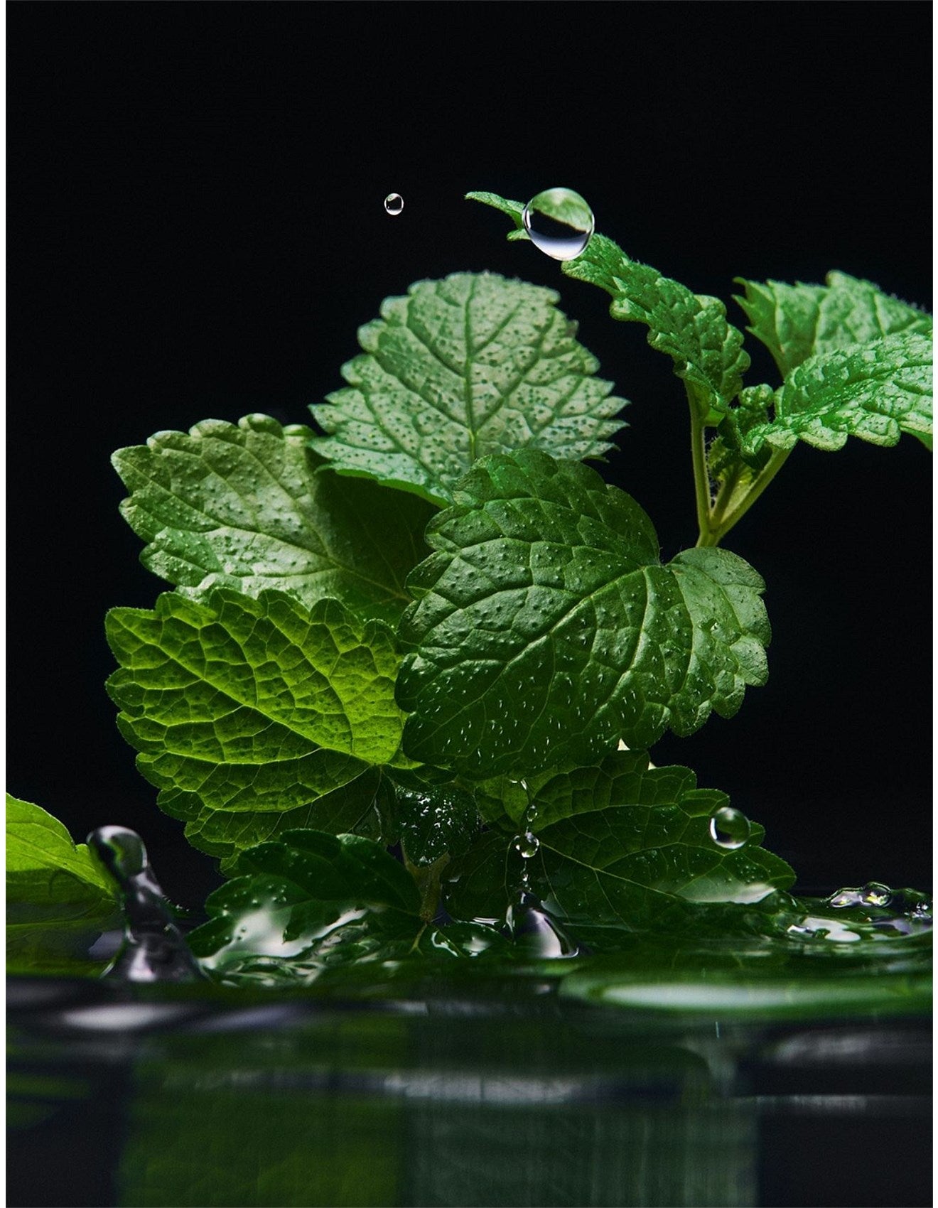 VELVET BLACK PATCHOULI EDP 100ML