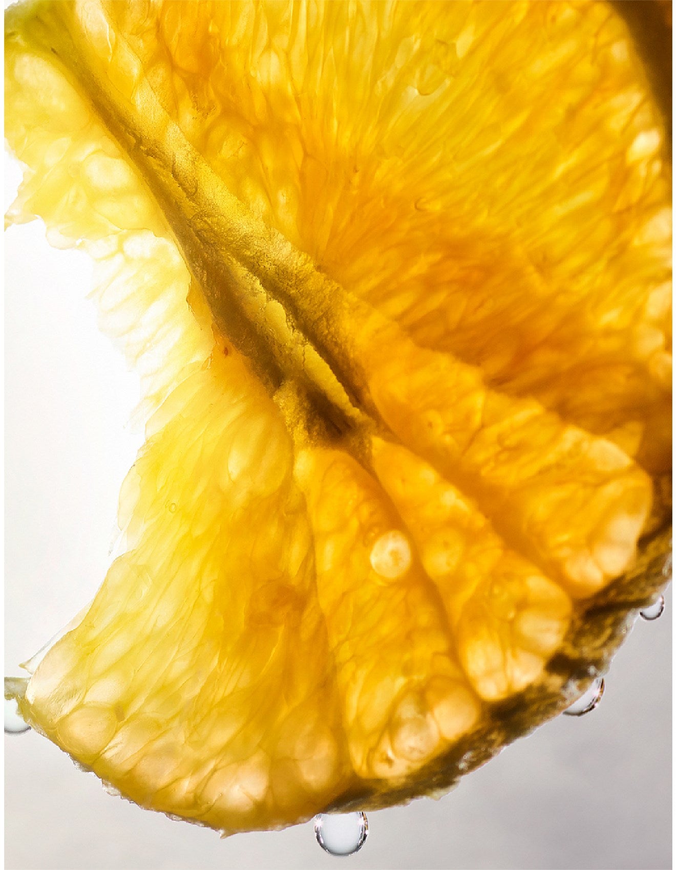 ALLEGRA MAGNIFYING BERGAMOT ESSENCE 40ML
