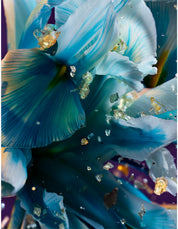 ALLEGRA SPETTACOLORE EDP 50ML