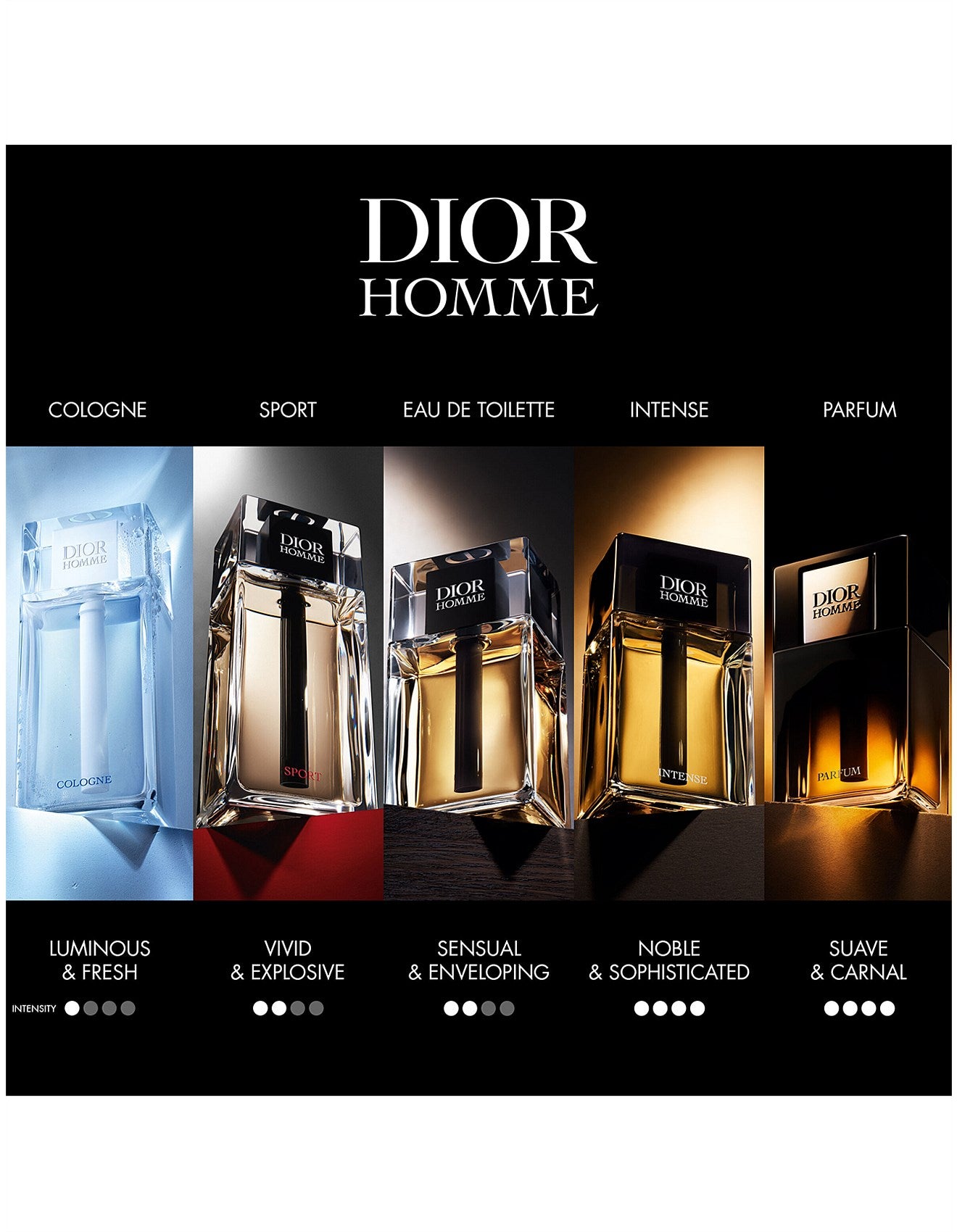 DIOR HOMME PARFUM 50ML