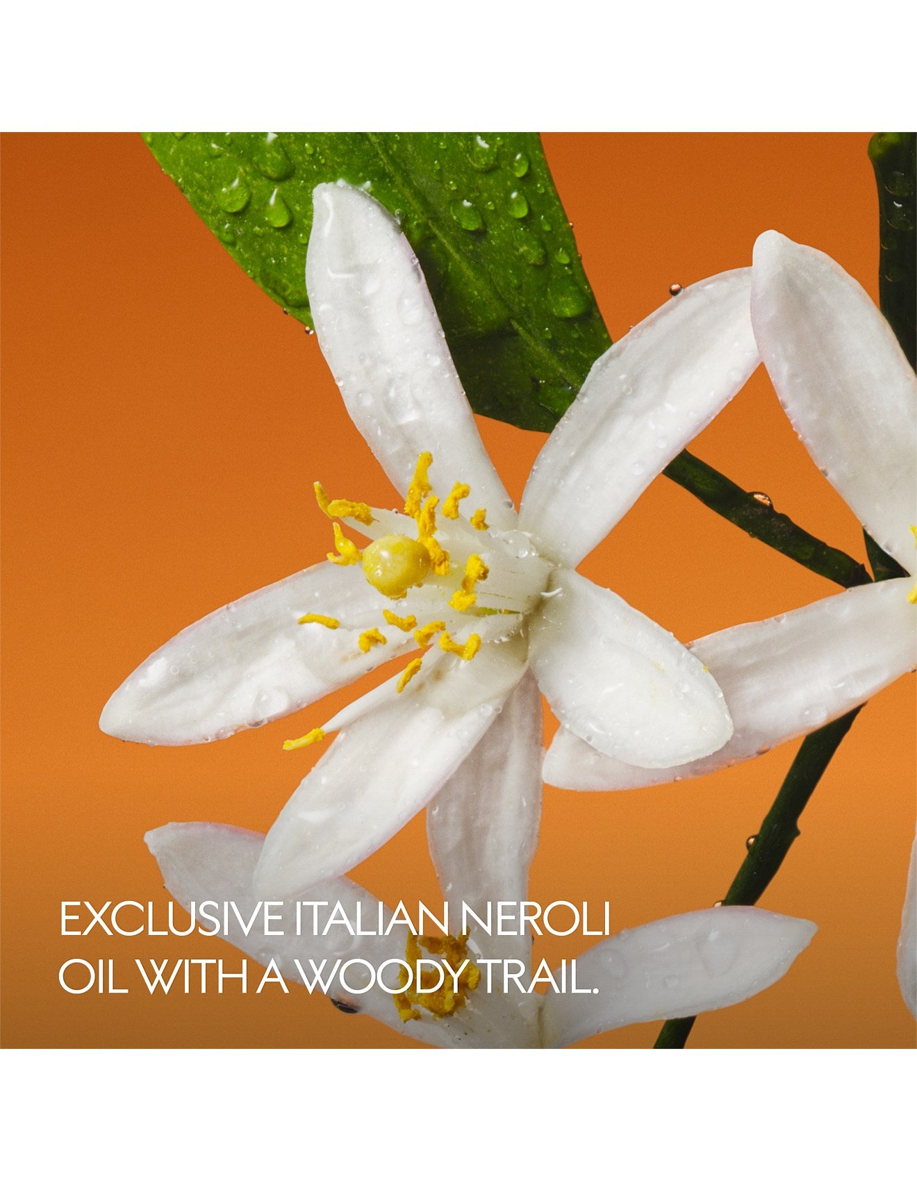 GUCCI THE ALCHEMIST GARDEN FIORI DI NEROLI EDP 100ML