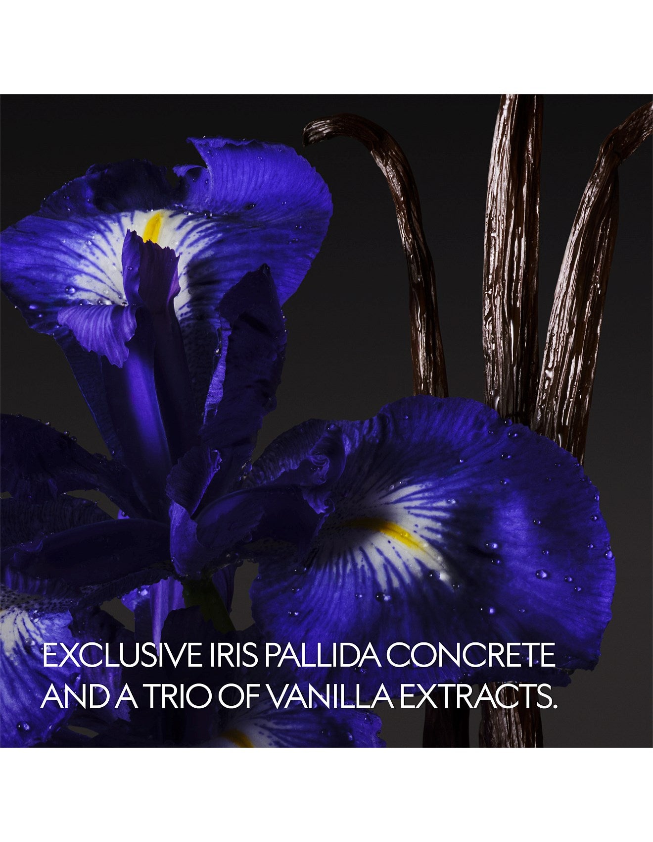GUCCI THE ALCHEMIST GARDEN VANILLA FIRENZE EDP 100ML