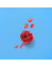 THE ALCHEMIST'S GARDEN A SONG FOR THE ROSE EAU DE PARFUM