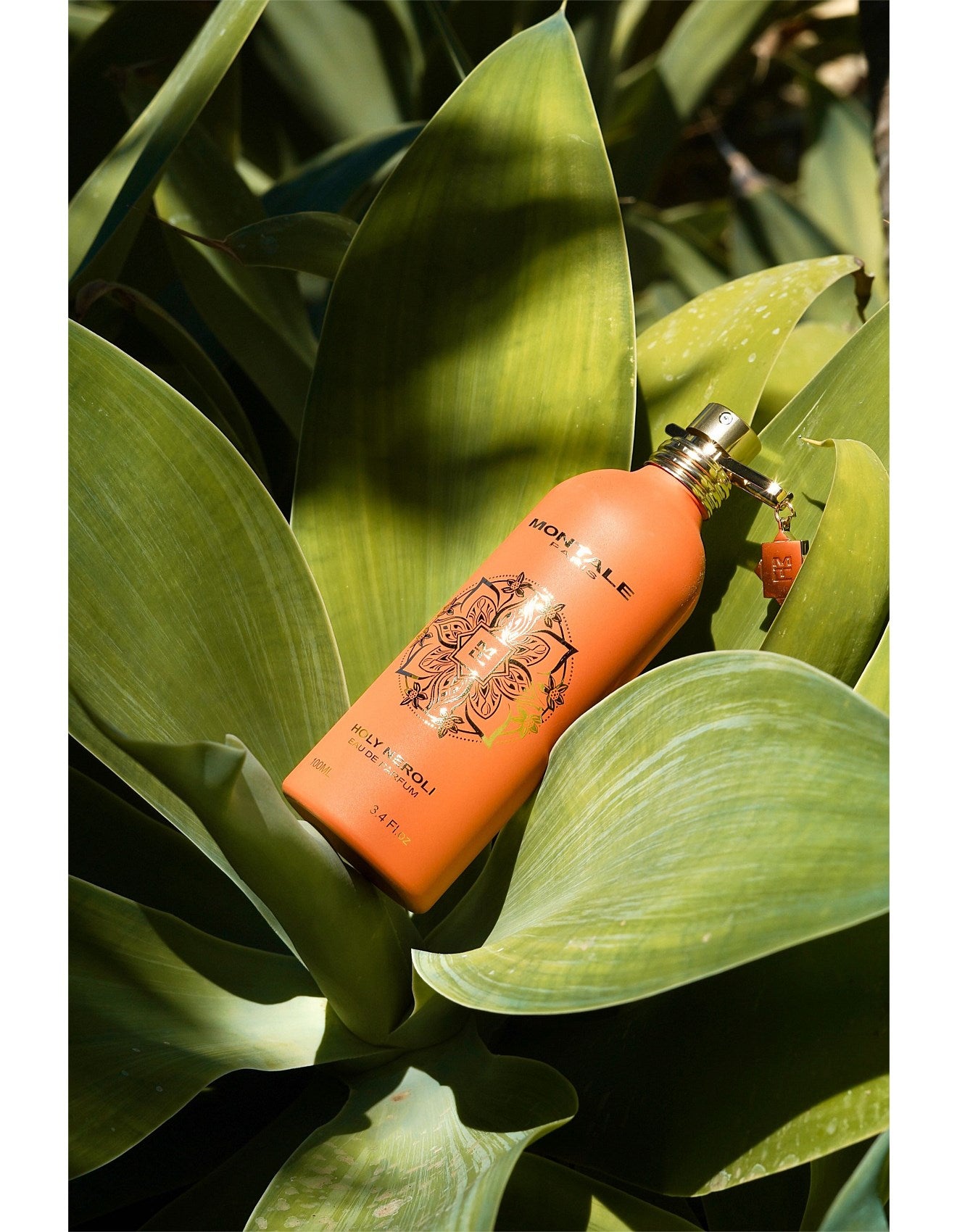 HOLY NEROLI 100ML