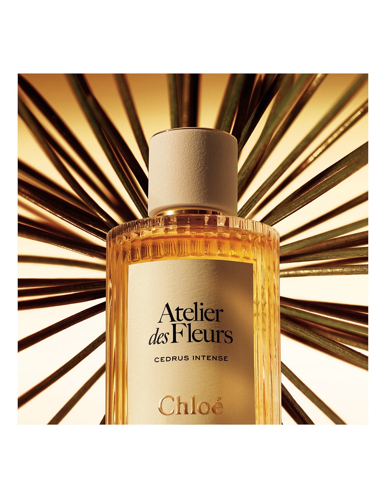 ATELIER DES FLEURS CEDRUS INTENSE EAU DE PARFUM 50ML