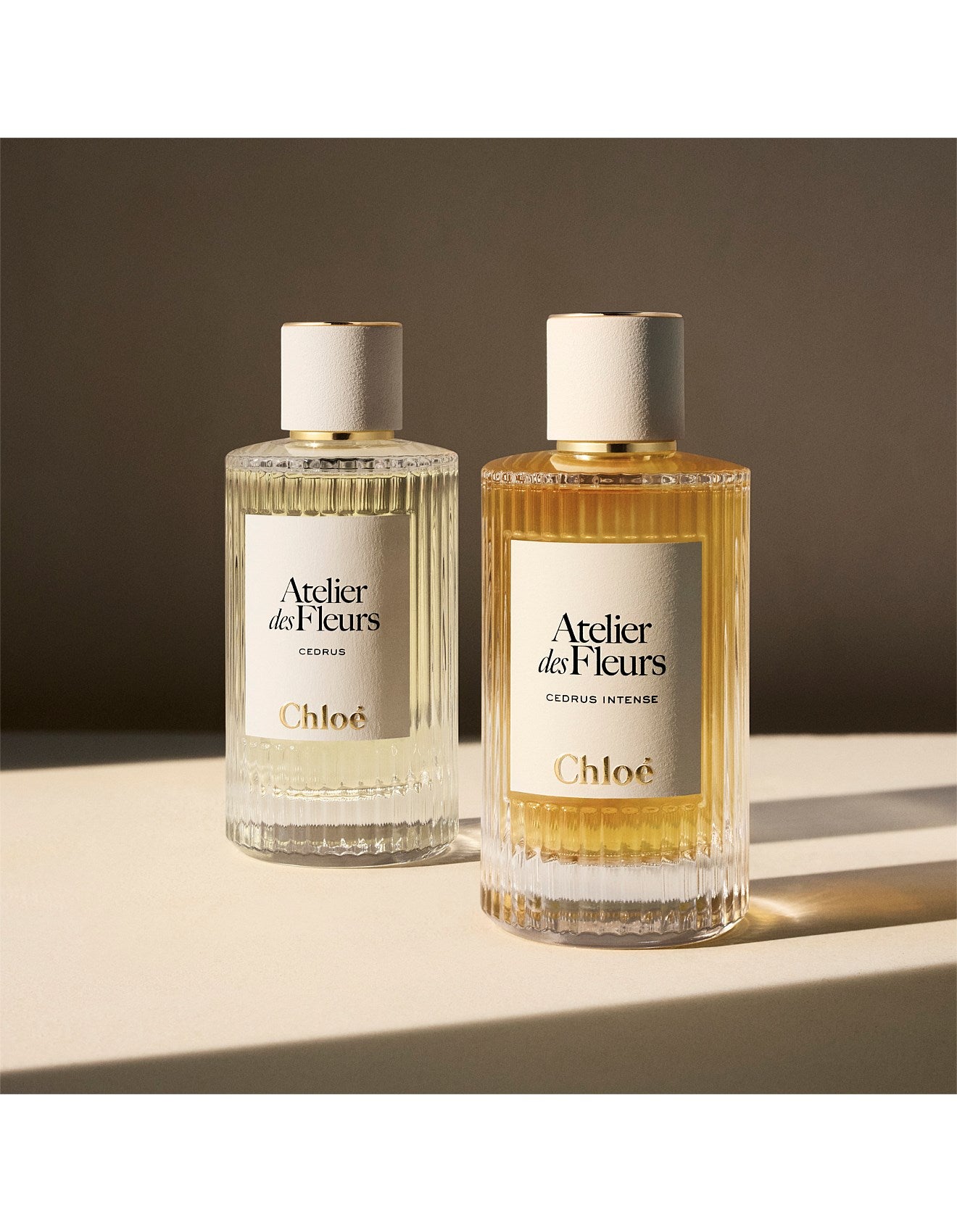 ATELIER DES FLEURS CEDRUS INTENSE EAU DE PARFUM 50ML