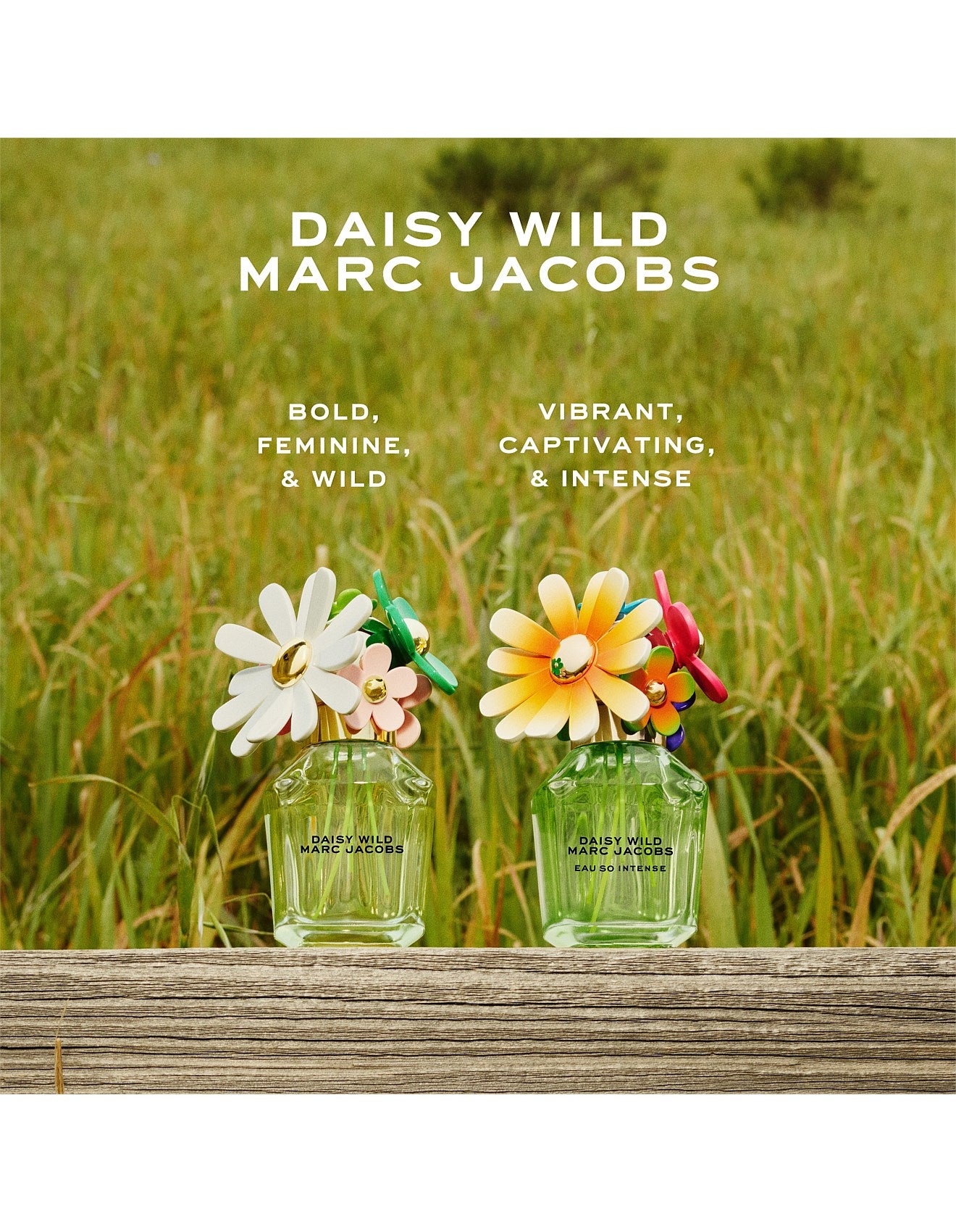 DAISY WILD EAU SO INTENSE EAU DE PARFUM 30ML