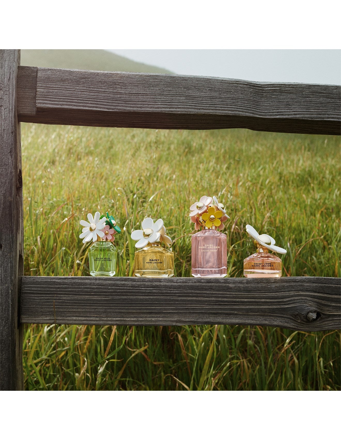 DAISY WILD EAU SO INTENSE EAU DE PARFUM 30ML