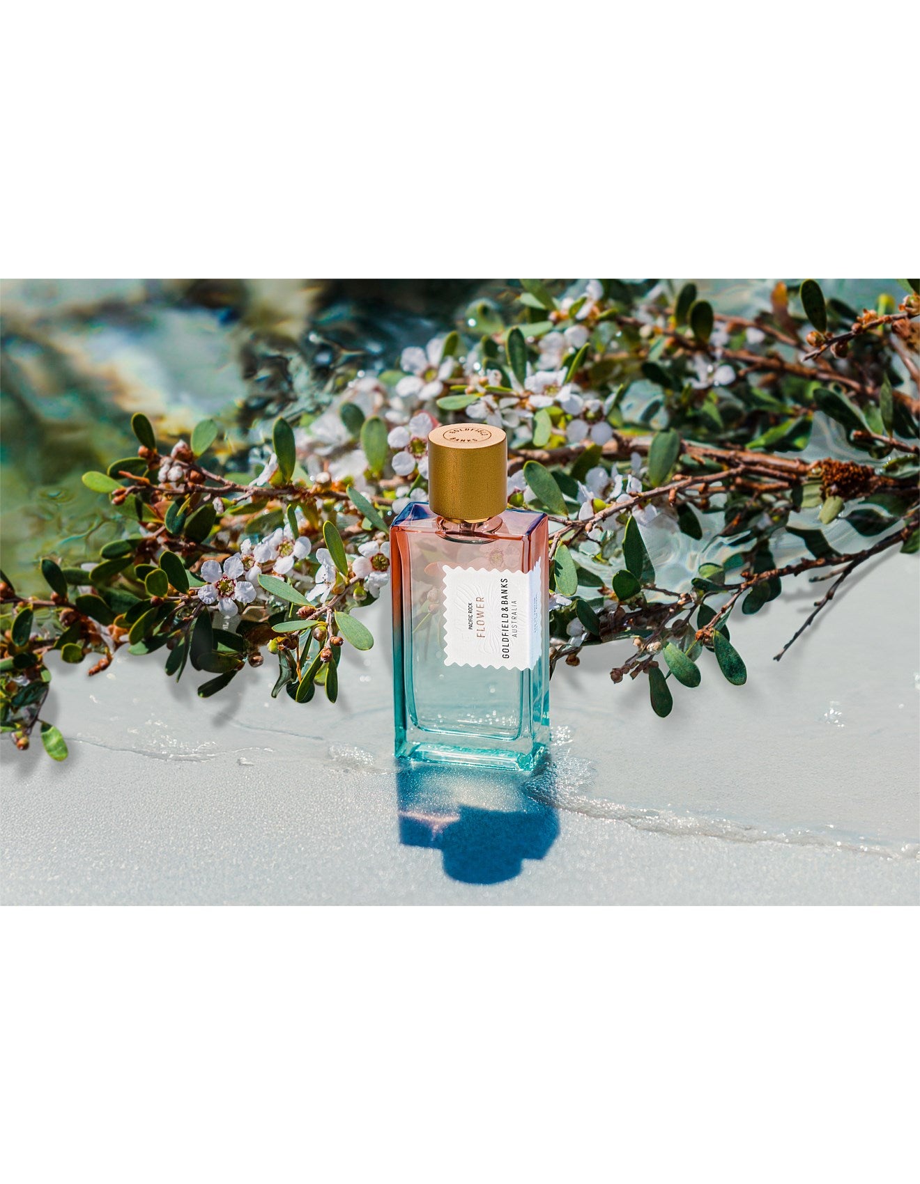 PACIFIC ROCK FLOWER 100ML