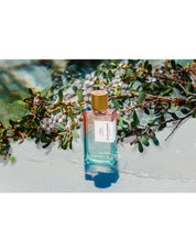 PACIFIC ROCK FLOWER TRAVEL SPRAY 10ML