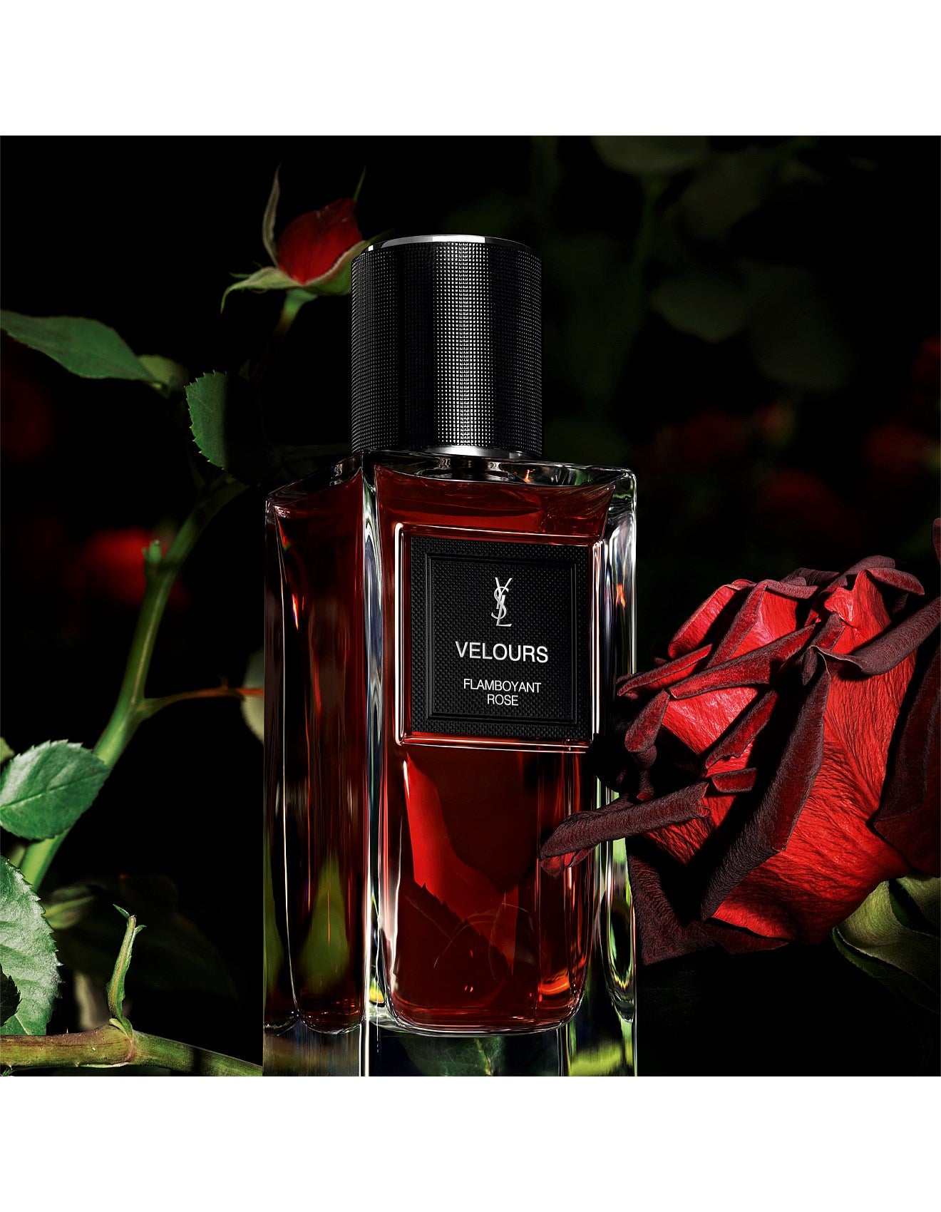 LE VESTIAIRE DES PARFUMS - VELOURS 75ML