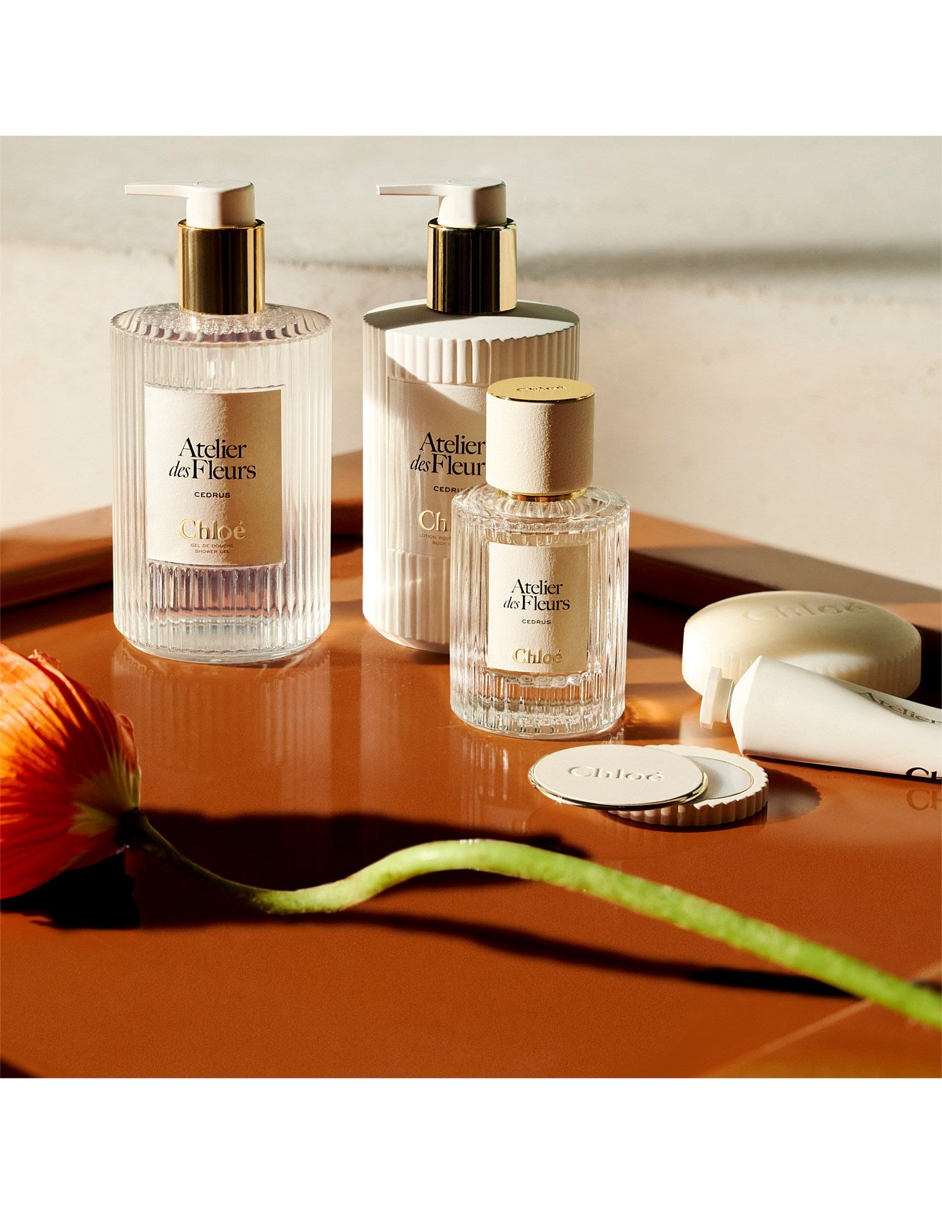 ATELIER DES FLEURS MAGNOLIA ALBA SOLID PERFUME 3G