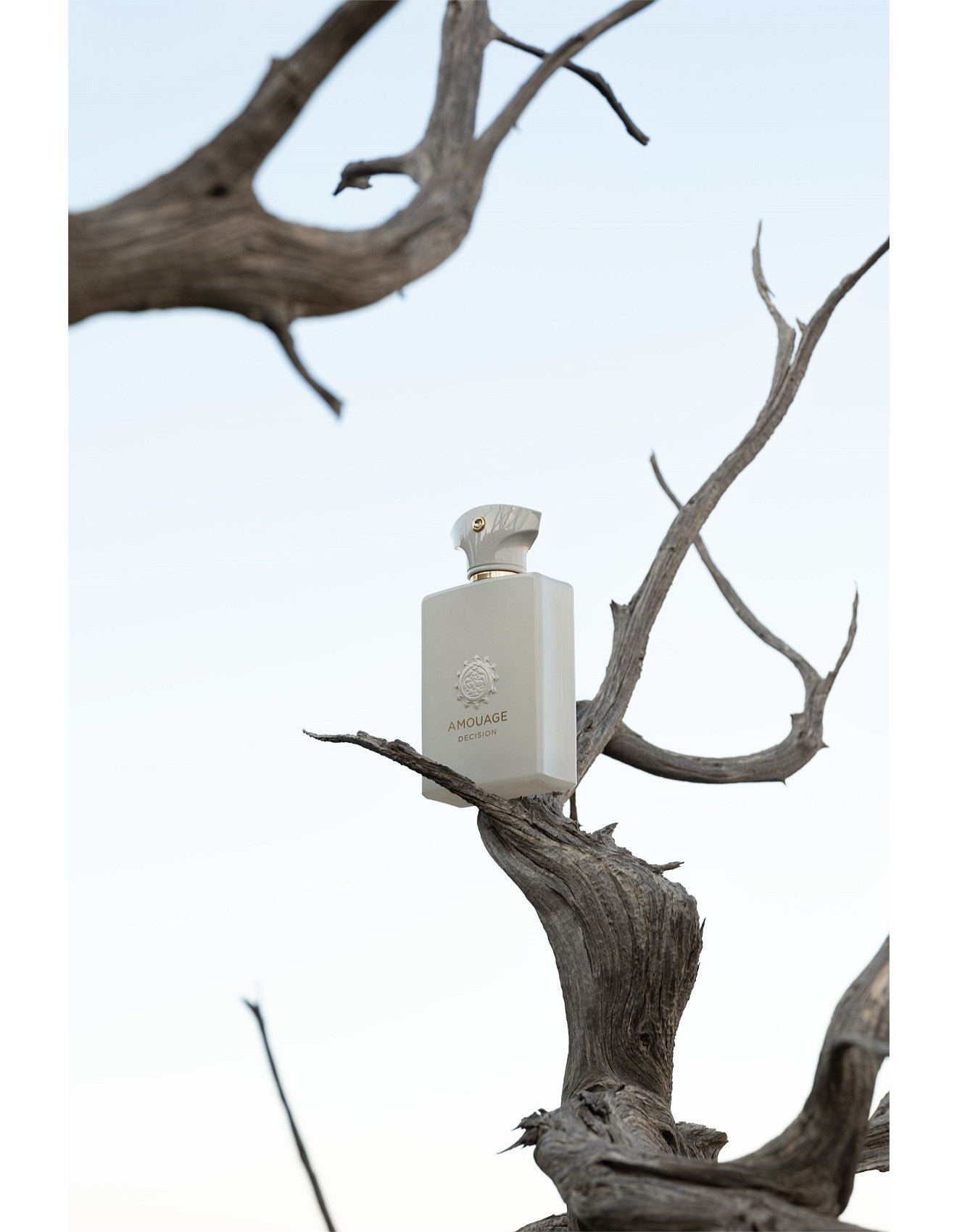 DECISION EDP 100ML