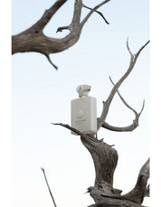 DECISION EDP 100ML