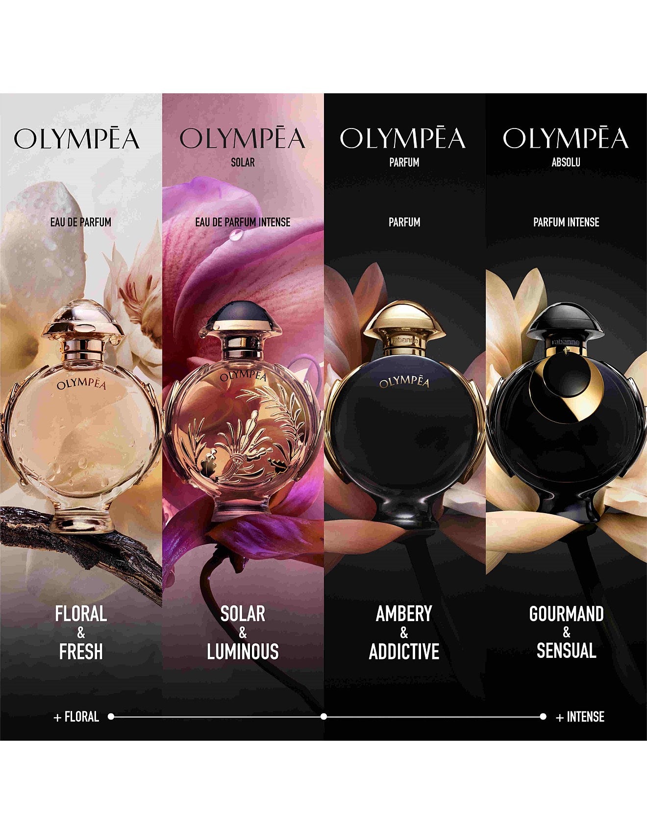 OLYMPEA ABSOLU PARFUM 50ML