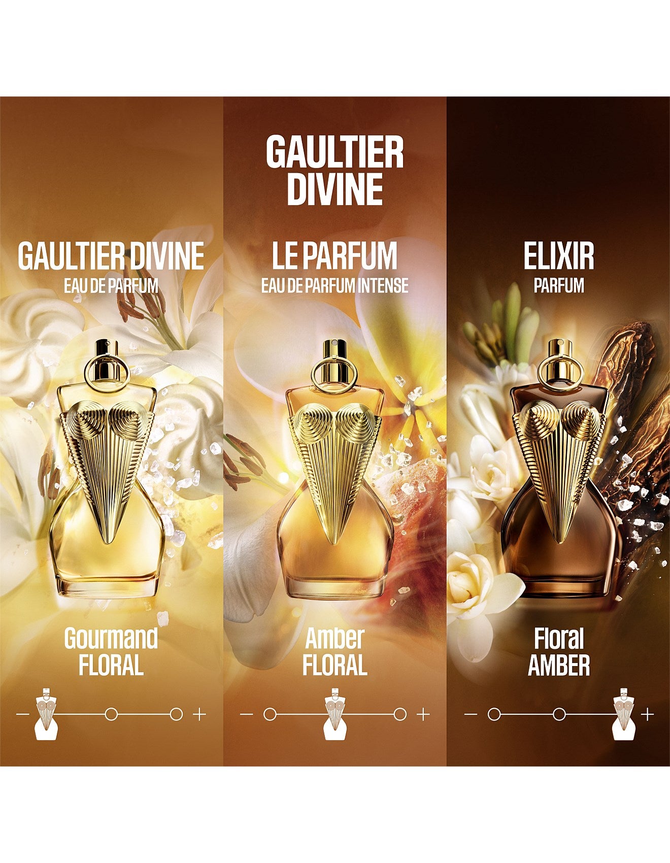 GAULTIER DIVINE ELIXIR 50ML