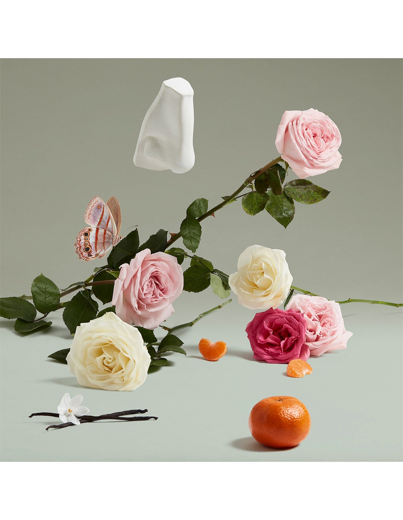 DUCHESS ROSE EDP 10ML