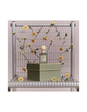 VRA VRA VROOM EDP 50ML