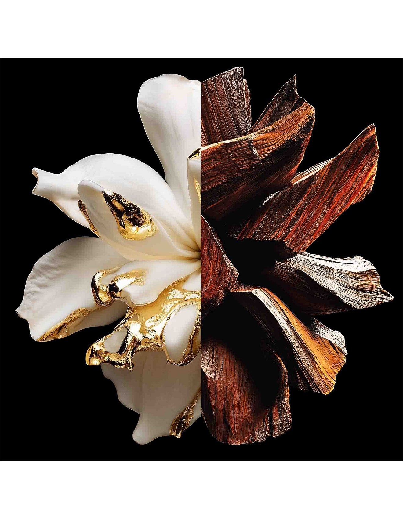 L'INTERDIT PARFUM 50ML