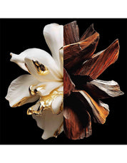 L'INTERDIT PARFUM 50ML