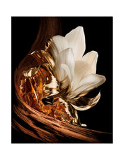 L'INTERDIT PARFUM 50ML