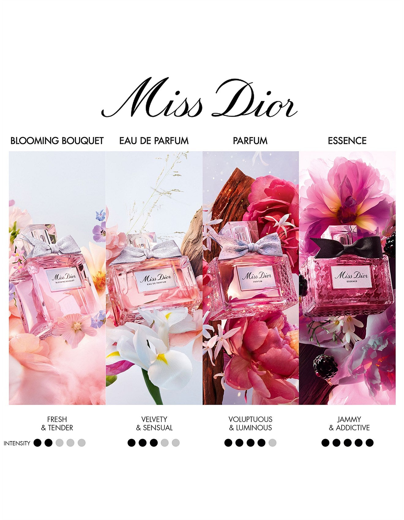 MISS DIOR BLOOMING BOUQUET EDT 50ML LIMITED EDITION SET