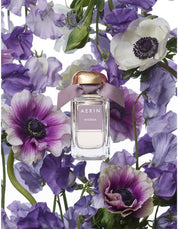 LES JARDINS WISTERIA 50ML