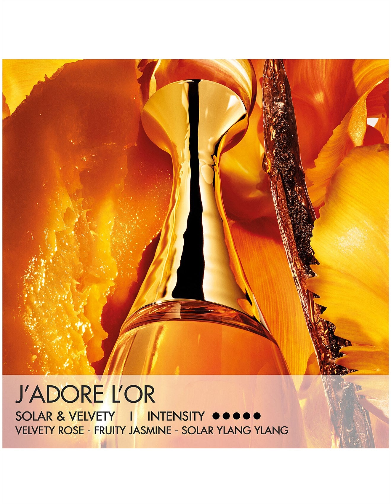 J'ADIORE L'OR SOLID EAU DE PARFUM 3.2G