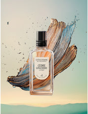 CÈDRE GINGEMBRE EAU DE TOILETTE 50ML