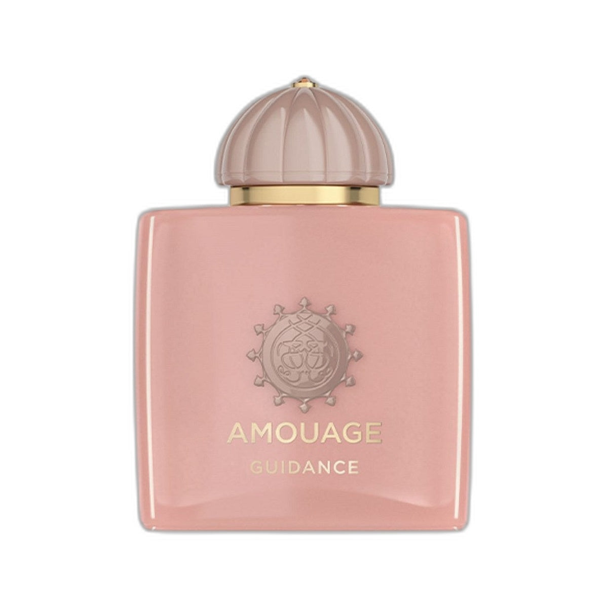 GUIDANCE 100ML
