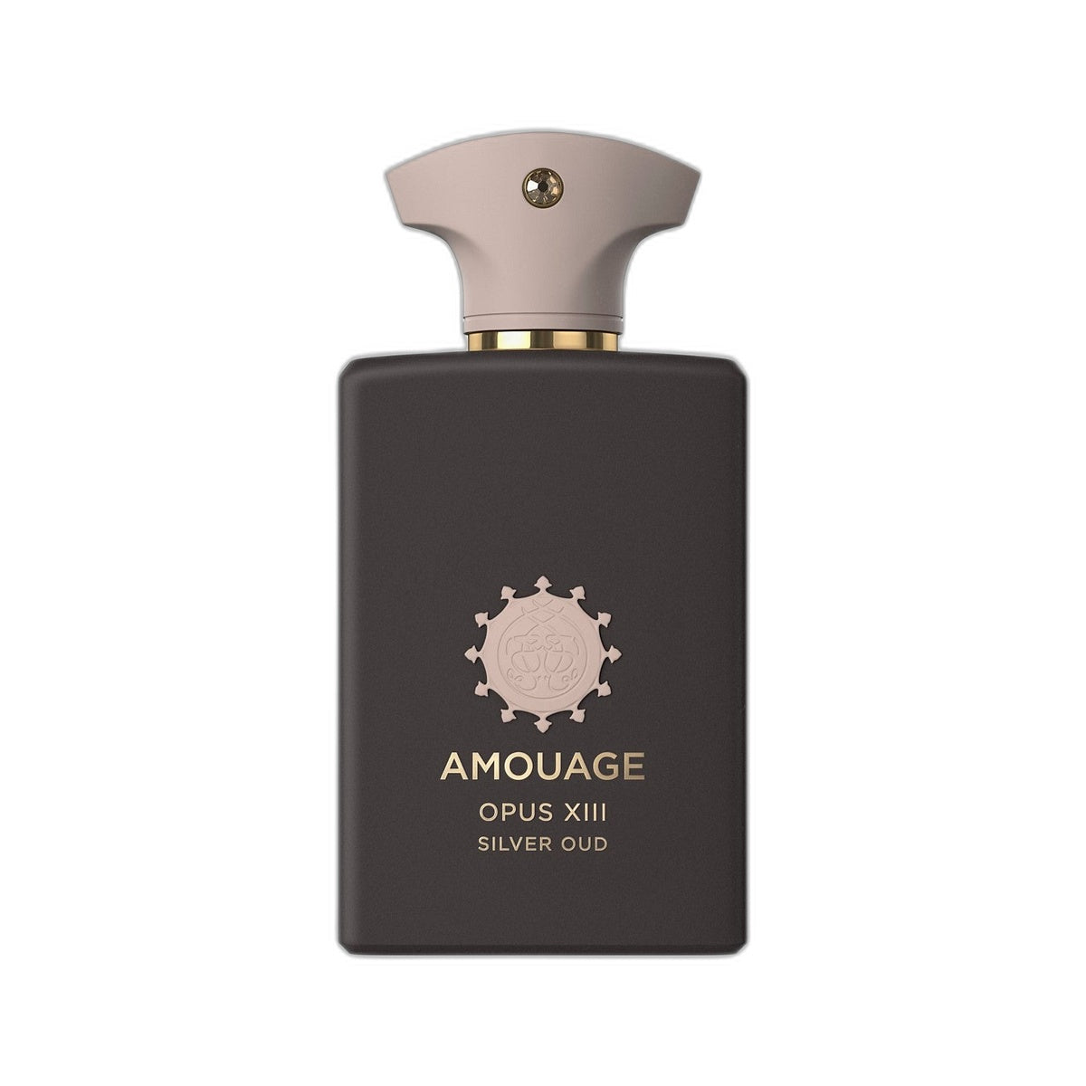 SILVER OUD 100ML EDP
