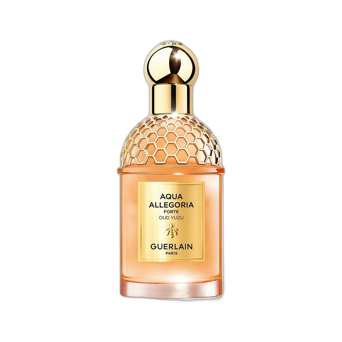 AQUA ALLEGORIA WOODY FORTE OUD YUZU EDP 75ML