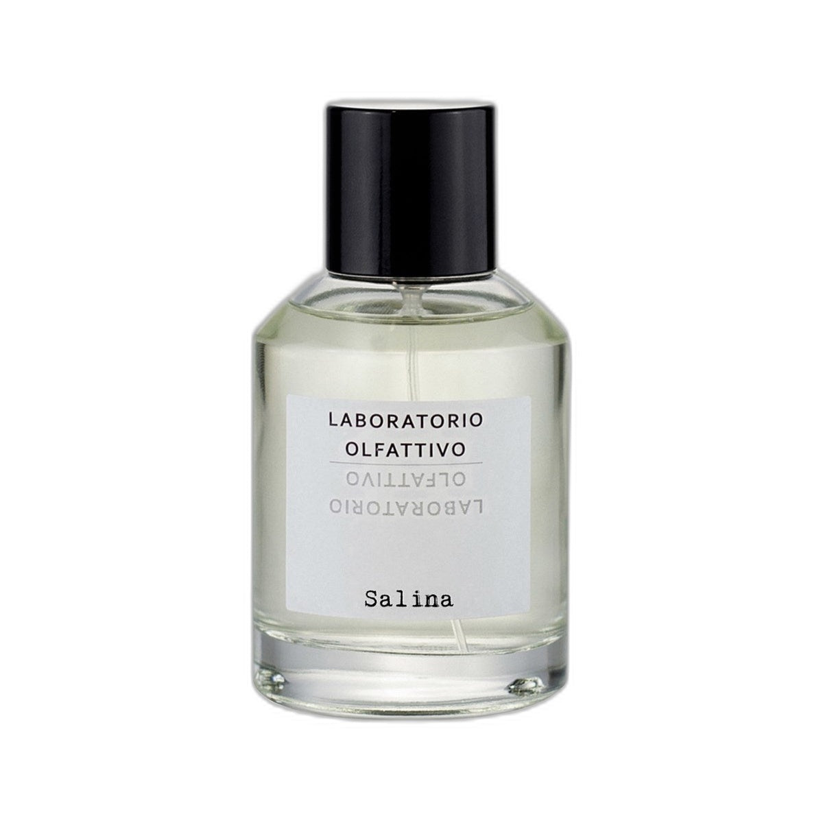 SALINA 100ML EDP
