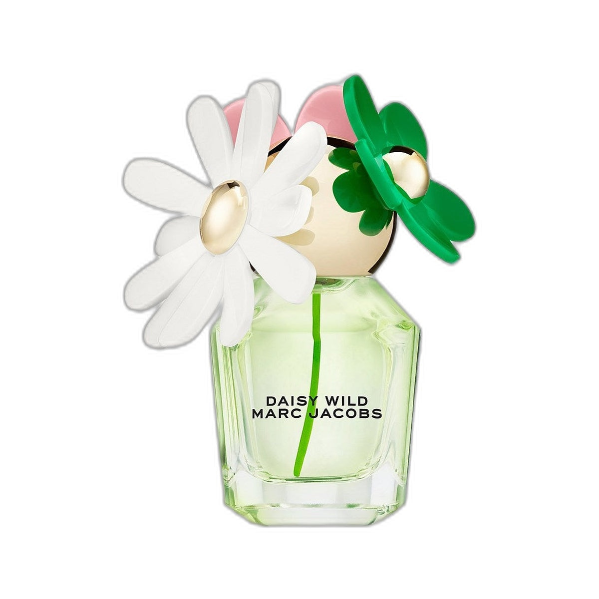 DAISY WILD EAU DE PARFUM 30ML